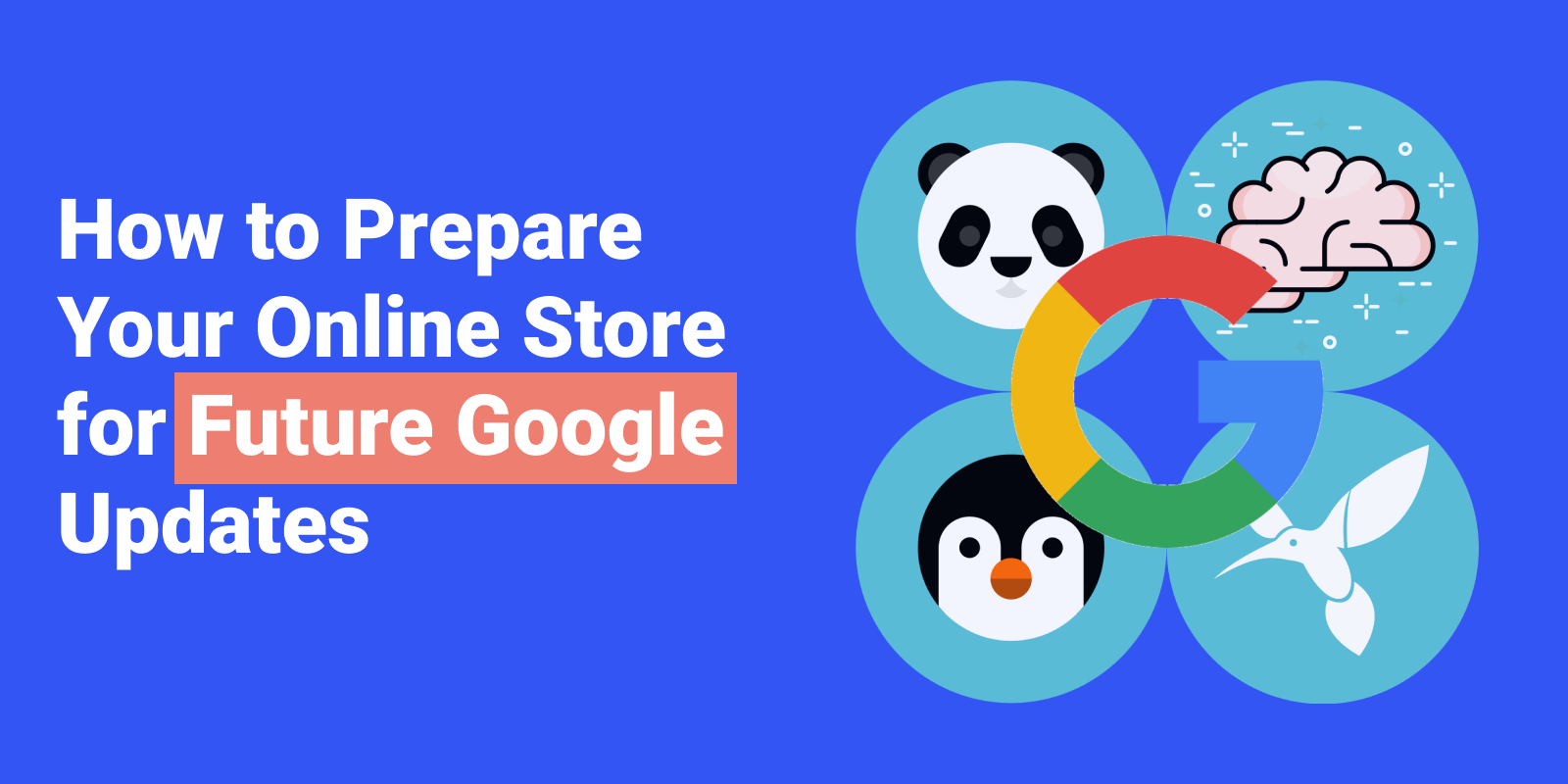 How to Prepare Your Online Store for Future Google Updates