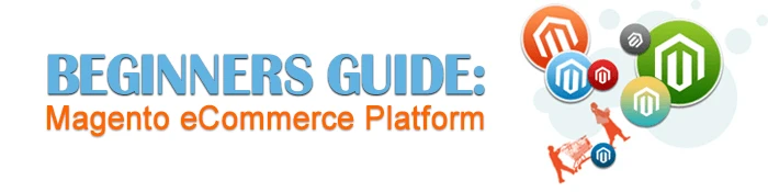 Beginners guide: Magento eCommerce Platform - the best platform for your business