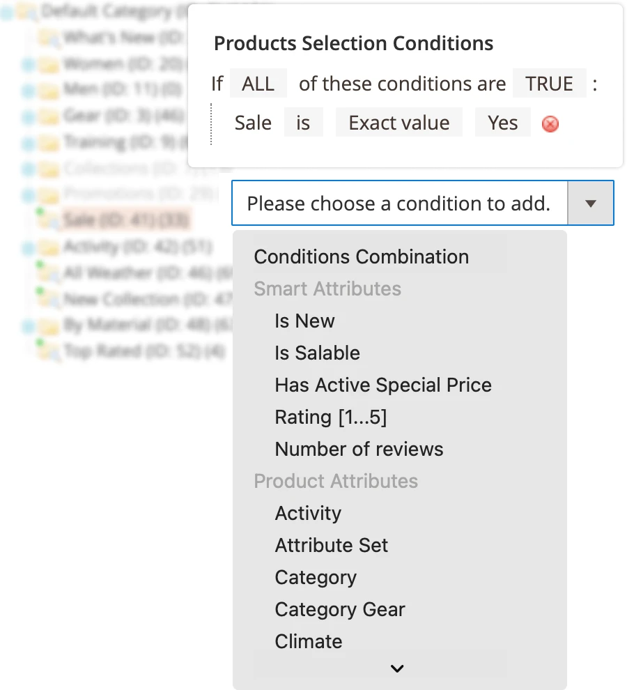 An example of conditions in Mirasvit Magento 2 Dynamic Categories extension