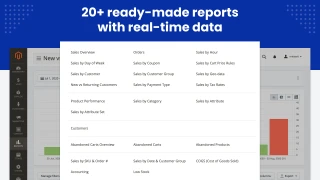 ready-made reports advanced reports